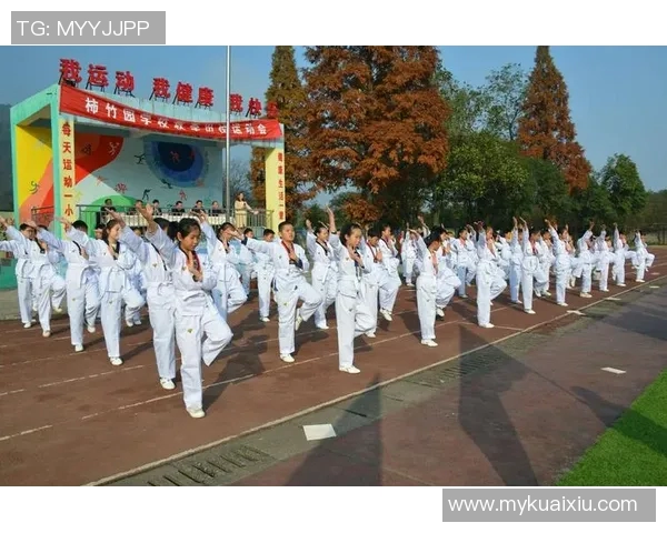 球星壁挂足球点亮激情绿茵空间彰显运动风采与收藏价值